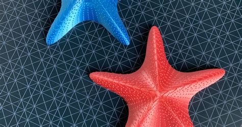 Starfish By Dajanka3d Download Free Stl Model