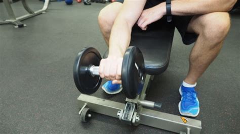 Seated Reverse Dumbbell Wrist Curls Exercise Technique And Definition
