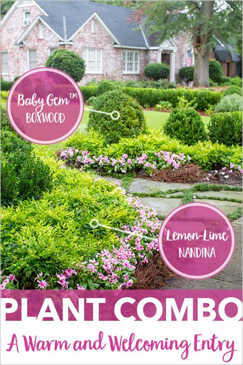 Plant Combinations A Warm And Welcoming Entry Plants
