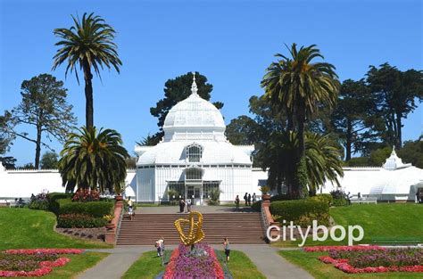 10 Best Attractions At Golden Gate Park Citybop