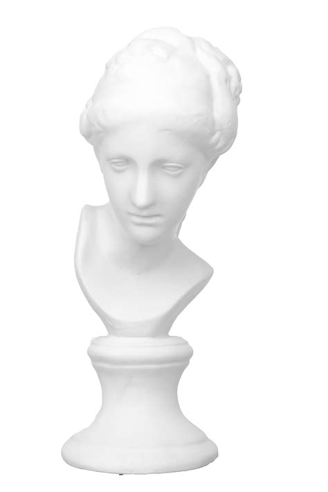 40cm Venus Plaster Head Sketch Art Plaster Teaching Aid Model European