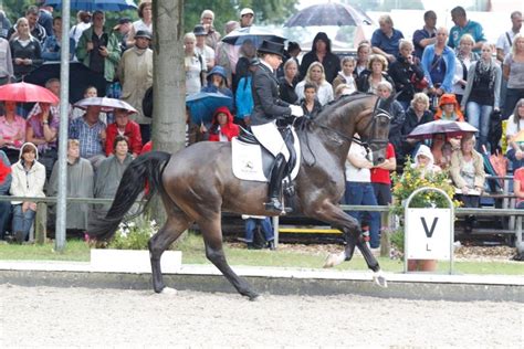 Дороти шнайдер media in category dorothee schneider. Dorothee Schneider: 'Het wezen van de dressuur' - Horses.nl