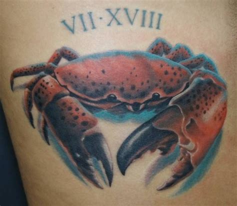David hale is an illustrator, artist, tattooist, and a humble servant of creation. Crab Tattoos, Designs And Ideas : Page 9 | Crab tattoo, Tattoo images, Cancer ribbon tattoos