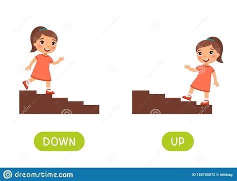 Opposite Upstairs And Downstairs Cartoon Vector