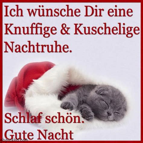 Bildergebnis Fur Gute Nacht Bilder Lustig 2 Gute Nacht Gbpicshd