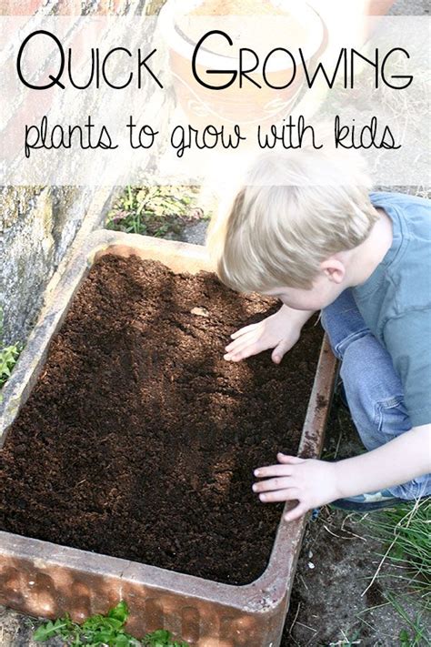 These interactive classroom activities can also reign in less focused students as they continue to learn by touching and doing. 59 best Garden Play and Learning Activities images on ...