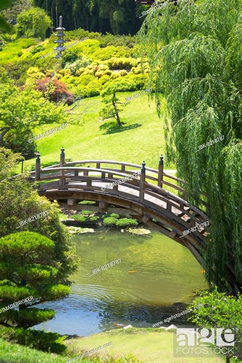 Beautiful Japanese Garden With Pond And Bridge Stock Photo Picture