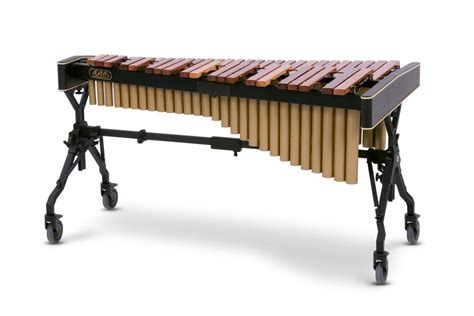 What Is A Xylophone Xylophone Instrument Dk Find Out
