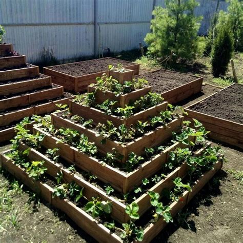 Diy Strawberry Bed Ideas 36 Creative Solutions My Desired Home