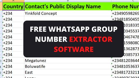 How To Extract Phone Numbers From Whatsapp Group 2023 Free Whatsapp