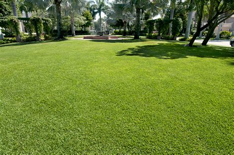 The goal for any yard work is to have a healthy lawn that looks beautiful with lush green grass. Pre-Emergent Weed Control | Greencare Landscape | Maine