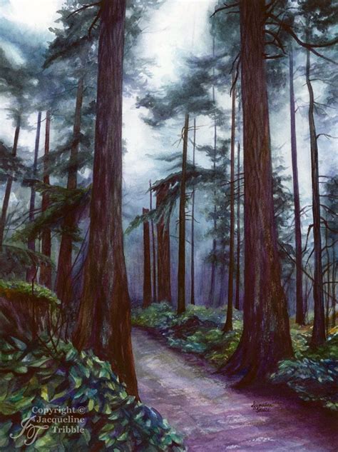 Atmospheric Watercolor Of A Pacific Northwest Forest By Jacqueline
