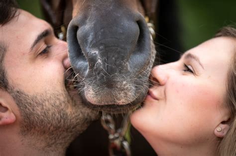 Geschlechterunterschiede Pferde Sind Bei Frauen Vertrauensvoller Bei Männern Gehorsamer