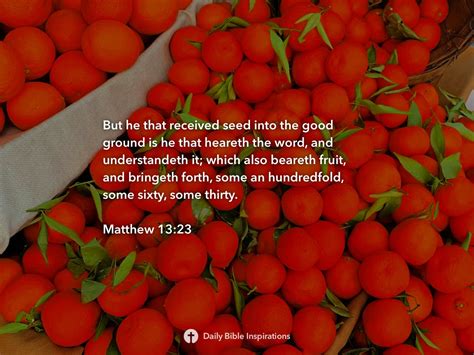 Matthew 1323 Daily Bible Inspirations