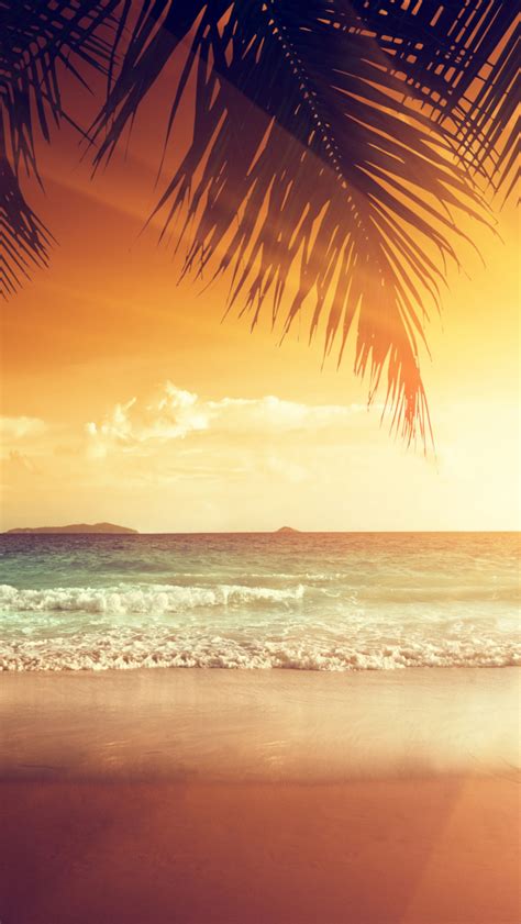 Free download Wallpaper Tropical Sunset Beach Summer Palm Coast Sea ...