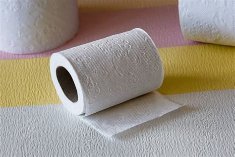 Feuchtes Toilettenpapier Ins Klo Oder Besser In Den Restmüll Utopiade