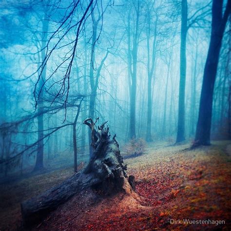 Silent Sadness Canvas Print By Dirk Wuestenhagen Fall Trees