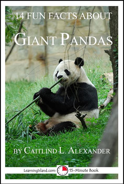 14 Fun Facts About Giant Pandas A 15 Minute Book Ebook By Caitlind L