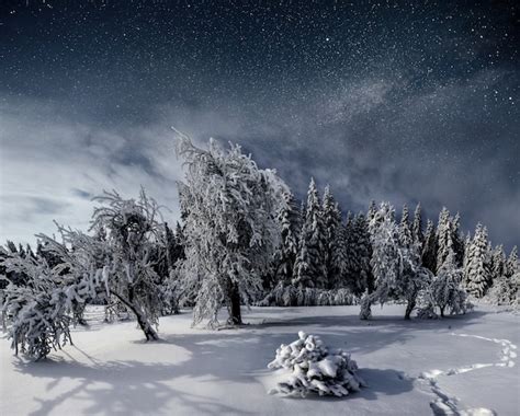 Premium Photo Starry Sky In Winter Snowy Night Fantastic Milky Way