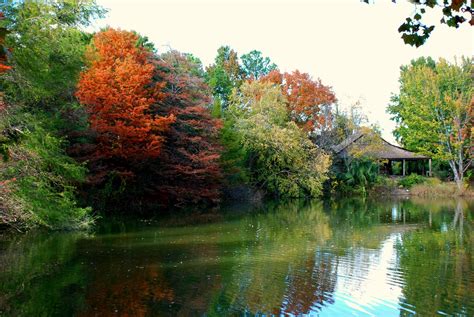 beautiful fall colors san antonio botanical gardens flickr