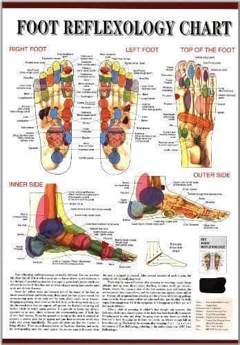 Reflexology Massage Techniques Lots Of Charts Reflexology Foot Reflexology Massage Tips