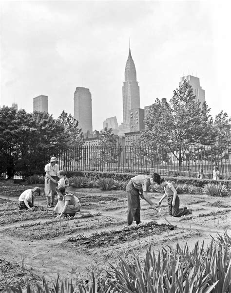 History In Photos Victory Gardens