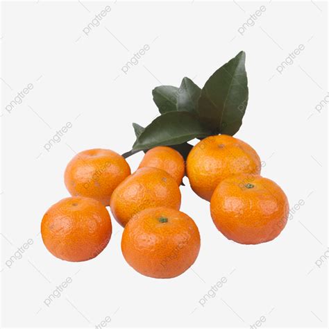 Seven Oranges Png Vector Psd And Clipart With Transparent Background
