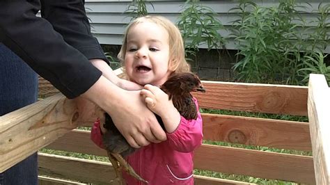 Cute Baby Hugs Chickens Youtube