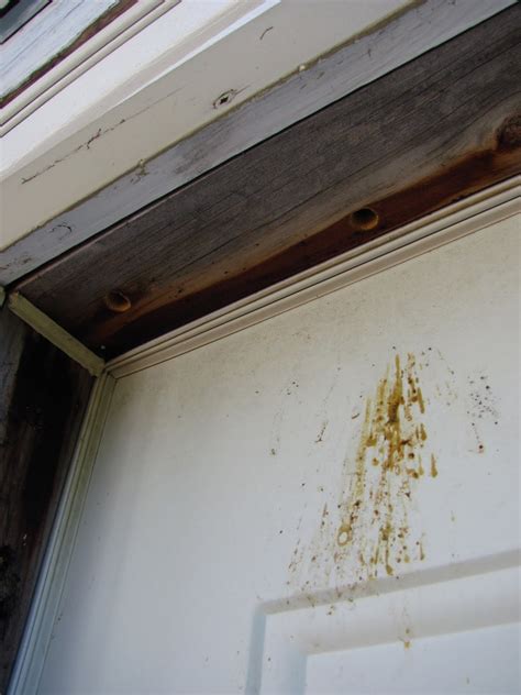 This is going to tell bees that they need to keep away, and they're going to want to get pretty far away from your patio deck area. Savvy Homegirl: Do Bees Burrow Nests? These ones do...