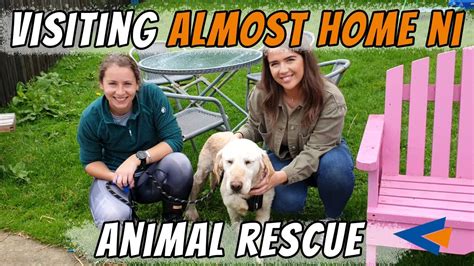 Visiting Almost Home Ni Animal Rescue Come With Us Dog Vlog Youtube