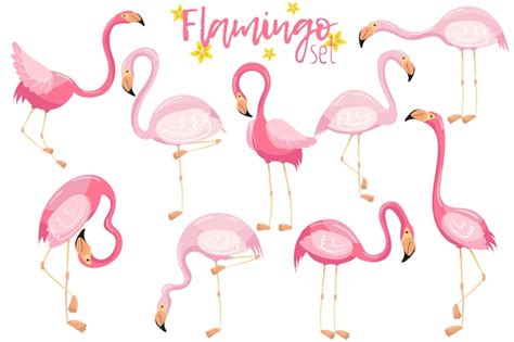 Premium Vector Beautiful Elegant Pink Flamingos Set Exotic Tropical