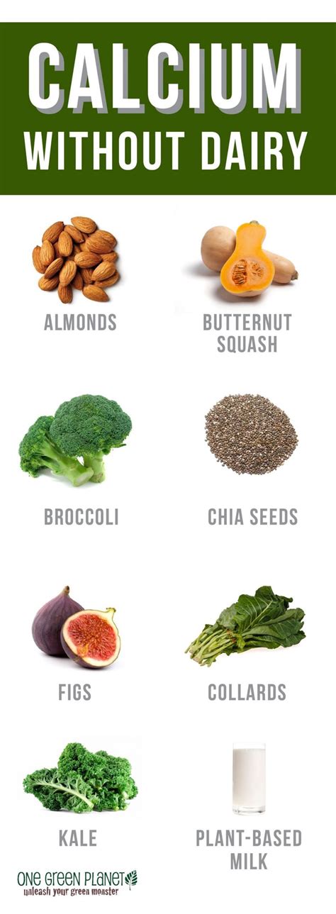 Top Dairy Free Sources Of Calcium Infographic Dr Phoenyx