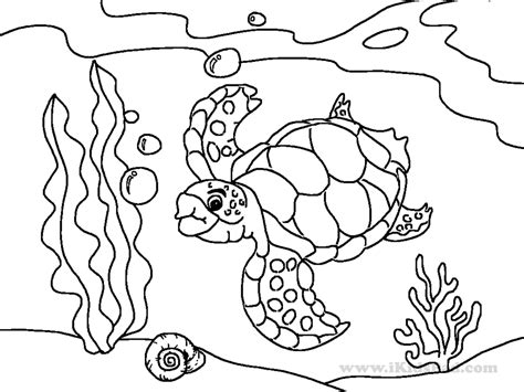 Various Attracting Sea Animals For Coloring Ideas