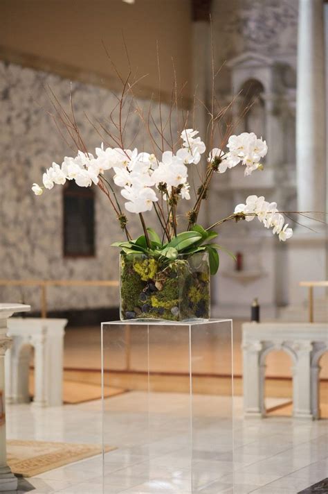 Best Orchid Arrangements With Succulents And Driftwood 5 Decomagz