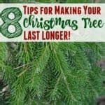 In this regard, we have prepared below a few tricks that will help you enjoy the christmas tree as long as possible. 8 Ways to Make Your Christmas Tree Last Longer