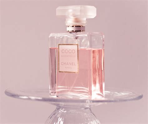 Pink Chanel Perfume Logo Logodix