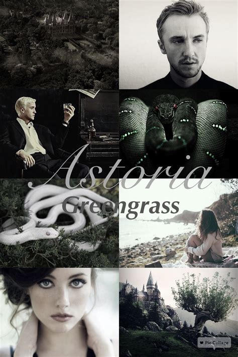 Astoria Greengrass Astoria Malfoy Harry Potter World