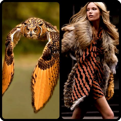 Eternel Voyageur Getting Inspired By Birds Nature Inspired Fashion