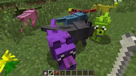 Minecraft wool comes in a variety of colors and shapes, but it's not a very good one: How to DYE WOLVES in Minecraft! - YouTube