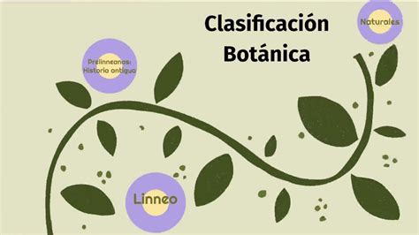 Historia Clasificaciones Botánicas Youtube