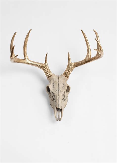 Natural Deer Skull Wgold Antlers Faux Deer Animal Skull Etsy Uk