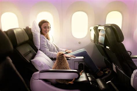Air New Zealand Premium Economy Flights 20232024 Flight Centre Uk