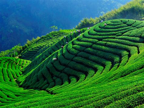 provinz taiwan landschaft der jioufen stadt in china taiwan. Taiwan entdecken in 10 Tagen - Go East Reisen
