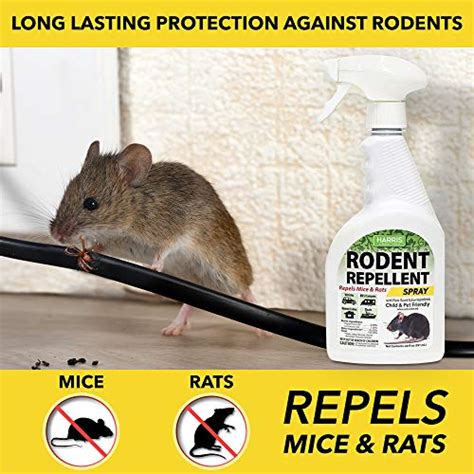 The Best Rat And Mice Repellent 2024 Garden Products