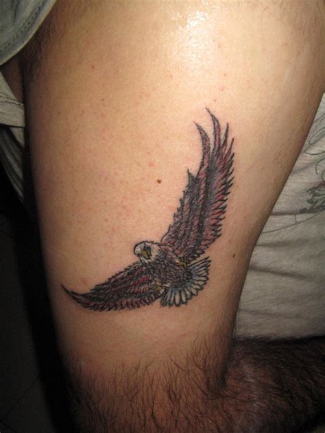 Eagle Tattoo Images And Designs