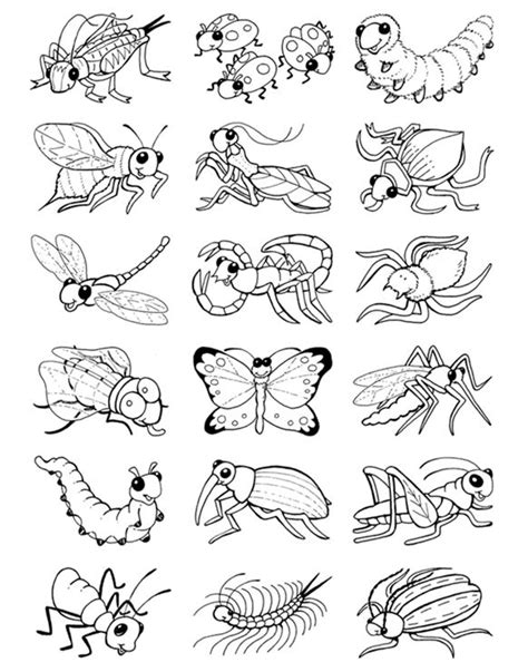 Coloring Page Insects AmarailHubbard