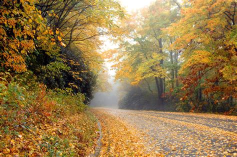 The 7 Best Places For Fall Foliage On The Blue Ridge Parkway