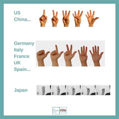 Finger Counting Across Cultures Utes International Lounge And Academy