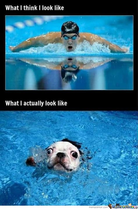 Swimming Funny Swimming Memes Swimming Jokes