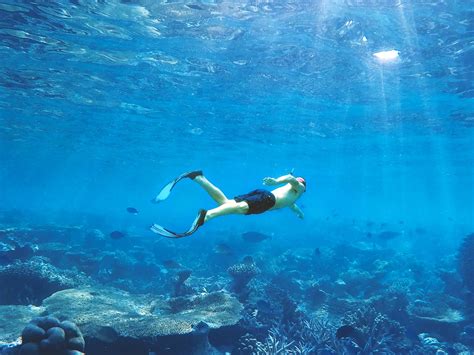 台中自由潛水 6大台中自由潛水課程推薦，freediving自由潛水證照輕鬆入手 七分之二的探索｜幫你找出最棒的活動體驗